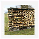 LEGNA DA ARDERE: LA PREPARAZIONE